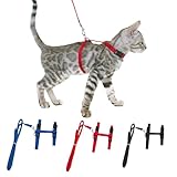Katzengeschirr mit Leine,3pcs Katzenleine mit Geschirr,Katzenausbruchsicher,Katzengeschirr mit Leine Ausbruchsicher,Katzengeschirr Ausbruchsicher (Blau + Schwarz + Rot)
