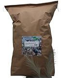 Anhaltiner Sonnenblumenkerne 20 kg Ergänzungsfutter für Wildvögel Vogelfutter Wildvogelfutter Ganzjahresfutter