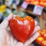 Ochsenherz-Tomate 10 Samen (RAR) (Gigantisch große Tomate) Schön und lecker
