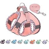 AIITLE Hundegeschirr und Leine Set, No Pull Step in Welpengeschirr mit super atmungsaktivem Mesh, verstellbare Welpen Essentials für Outdoor-Gehen, Training für kleine Hunde, Katzen Rosa XS