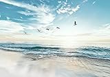 decomonkey Fototapete Meer Vögel 350x256 cm XXL Design Tapete Fototapeten Vlies Tapeten Wandtapete Moderne Wand Schlafzimmer Wohnzimmer Natur Strand Landschaft Himmel Sonne Blau