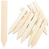 ibasenice 50 Stück Etiketten für Gartenpflanzen Stichworte Anlage Kindergarten Gartenreihenmarkierungen pflanzenstecker pflanzstecker Holzanhänger für Pflanzen Etikett für Gartenpflanzenholz