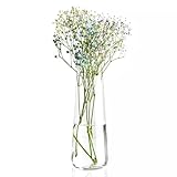 Krosno Tall Glass Flower Vase | Pure Collection | 240 mm Höhe | Glasvasen für Blumen | Perfekt für Heim-, Büro- und Küchendekoration | Handwäsche
