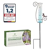 DAAS24 Regenmesser – Regenmesser für Garten – Frostbeständiges Glas – Niederschlagsmesser – Flexibel platzierbar – Gartendeko – Geschenk für Gartenliebhaber