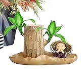 Brasilianer Wood - hydroponisches Glücksholz, kleine Baumstumpf -Desktoppflanzen, Innendesktoppflanzen, Luftreinigungsanlagen für Wohnzimmer