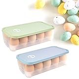 QINERSAW 2er Set Eierbox 10 Eier Eierbehälter mit Deckel Eieraufbewahrungsboxen für Kühlschrank Eier Transportbox Kunststoff