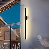 Lange LED Außenwandleuchten Dimmbar Wandlampen mit Fernsteuerung Wasserdicht IP65 Wandbeleuchtung Aussen/Innen Acryl für Gärten Terrassen Schlafzimmer Korridor 3000K-6500K (B,40cm)