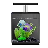 Desktop-Mini-Aquarium, Praktisches Wasserwechsel-Design, Kleines Aquarium Mit Mehrschichtigem Filtersystem, Ultraleise Wasserpumpe, Geeignet Für Wohnzimmer