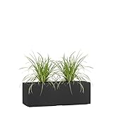 Pflanzwerk® Pflanzkübel TUB Anthrazit 17x50x17cm XXL – Rechteckig – Großer Fiberglas Blumenkübel für Garten & Fensterbank außen und innen - Frostbeständig - UV-Schutz - Markenqualität