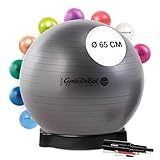 Original Pezziball MAXAFE 65 cm anthrazit m. Ballschale & Pumpe Gymnastikball