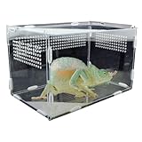 Reptilien-Habitat-Terrarium, Acryl Reptilien-Grillenkäfig mit Futterloch-Design, Spinnenzucht-Terrariumbox für Vogelspinne, Tausendfüßler, Gehörnter Fros (18x18x28cm)