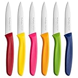 Ruffulon Gemüsemesser Set 6 Stück, Bunte Obstmesser,Küchen messer mit Ergonomischem,Professionelles Schälenmesser mit Hochwertiger Edelstahl,Gerader Schliff,Extra Scharfe Klinge,Spülmaschinenfest