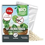 Plantura SF-Nematoden gegen Trauermücken, zum Gießen, hochwirksam & biologisch, Nützlinge aus Deutschland, 3 Mio für 3 m²/ ca. 30 Pflanzen
