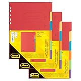 Idena 90266 - Karton-Register für DIN A4 Dokumente, 22,5 x 30 cm, 18 vollfarbige Trennblätter in 6 Farben, 150g/m², Organizer mit Eurolochung und Organisationsdruck