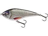 Westin Swim Glidebait - Jerkbait, Farbe:Real Roach, Länge/Gewicht/Schwimmverhalten:12cm / 53g / suspending