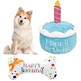 MINSHUXI Hund Geburtstagstorte Spielzeug Quietschendes Hundespielzeug Geburtstagsknochen Plüsch Quietschend Spielzeug Kuchen Spielzeug für Haustier Interaktives Geburtstagsgeschenk