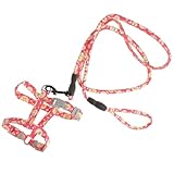 ibasenice Verstellbares Ausbruchsicheres Katzengeschirr mit Leichtem Weiches Material für Kleine Katzen und Kätzchen Komfortabel und Langlebig für Sicheren Outdoor Spaziergang