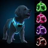 PcEoTllar Hundegeschirr Leuchtend, Leuchtgeschirr LED Aufladbar & Reflektierendes, Beleuchtetes Leuchtgeschirr für Welpe Klein Mittlere Hund, Atmungsaktiv Leucht Geschirr, Blau-S