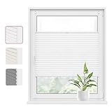 WOLTU Plissee Klemmfix ohne Bohren 90x130cm (BxH) Weiß Faltrollo Plisseerollo mit Klemmträger Lichtdurchlässig, Jalousie Sichtschutz und Sonnenschutz Easyfix Rollo für Fenster & Tür