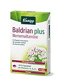 Kneipp Baldrian plus Nervenvitamine – B-Vitamine unterstützen die normale Funktion des Nervensystems – Nahrungsergänzungsmittel - 40 Dragees