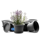 BigDean 8 Stück Blumentopf mit Untersetzer rund ø 25 cm Anthrazit – wetterfester Pflanzkübel Made in Europe