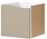 Einsatz mit Tür beige OHNE Griff wellenform 33x33 (IKE 305.621.50) für Kallax Regal