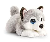 tachi