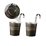MINAOLULUS 2Stücke Hängender Blumenhalter Eisen Eimer Pflanzer für Gartenarbeit Dekorativer Blumeneimer für Wohnzimmer für Sukkulenten und Pflanzen