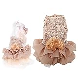 GOTOTOP Hundekleid, Haustier Hund Rock Welpe Katze Nette Pailletten Prinzessin Bubble Rock Hochzeitskostüm für kleine mittelgroße Hundekatze, Sommerkleidung(L-Gold)