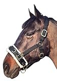T TEKE Longierzaum mit Fleece gefüttertem Nasenriemen und Genickstück