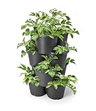 Spetebo Kartoffel und Tomaten Anzucht Pflanzturm 65 x 42 cm - 4er Set - Kunststoff Säulentopf in anthrazit stapelbar - Garten Deko Blumensäule Kräuterbeet Blumentopf Kartoffelturm