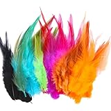 100 Stück Bunte Federn, Federn zum Basteln, 10~15cm Federn Bunt, Feder Naturfedern, Feather Deko, Bastelsachen Federn, für DIY Handwerk, Art Design, Kopfschmuck, Federblumen, Hochzeit (bunt)