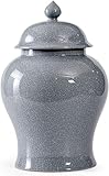 GeRRiT Retro Keramik Ingwerglas mit Deckel, Tee Caddy Topf, Großer versiegelter Tank Lagertank, Multifunktions Lagertank Gläser