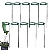 Stab zur Pflanzenunterstützung – Indoor-Pflanzstäbe ausziehbar – Edelstahl-Stielhalter mit Clip für, Tomatenbohnen, Lilien, Sonnenblumen, Bonsai