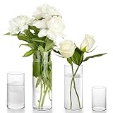 Winter Shore Durchsichtige Vase Glas [4er-Pack] - Glasvase Zylinder in 4 Größen - Hohes Pflanzen-, Blumen-, Pampasgras- & Kerzenhalter Glas - Deko-Vasen Glas für Tafelaufsatz, Party, Zuhause, Hochzeit