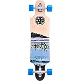 Suche 4 SURF
