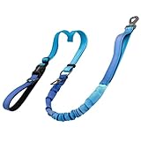DAISTERN 6-in-1 Joggingleine Hunde, Freihandleine Elastisch Ruckdämpfend Reflektierend mit 360°Drehbarer Verriegelungskarabiner, Verstellbarer Hüftgurt für Mittelgroße und Große Hunde Blau