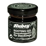 HUBEY BIO ROOTING GEL Bewurzelungsmittel für Stecklinge zur Pflanzenvermehrung Wurzelstimulator (30ml)