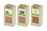 FLORTUS BIO Keimsprossen Set 'Scharf' mit 3 Sorten (600 g) | Keimsprossen | Keimsprossen Sets | Sprossensaat | Keimsaaten