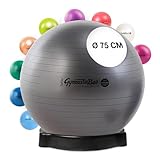 PEZZI Original Pezziball MAXAFE 75 cm m. Ballschale anthrazit Sitzball