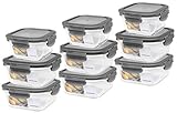 Lock & Lock Lebensmittelbehälter Boroseal Glasboxenset 9-tlg. (3x 750ml Box, 3x 500ml Box, 3x 300ml Box) Quadratisch Inklusive SeleXions Multifunktionsspachtel