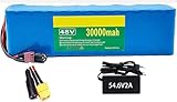 48V 30Ah Elektrofahrrad Lithium Batterie, 13S3p Lithium Batterie Pack, Eingebautes 30A BMS, Mit 54,6V 2A Ladegerät, Für 200W 350W 500W Scooter, E-Bike E Scooter-Akku 48V 30Ah,XT60