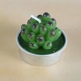 LIUBI Kerzen Pflanzen Kreative Sukkulenten Regen Herz Blume Manuelle Party Dekoration 1Pcs
