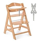 hauck Alpha+, Natur - Mitwachsender Holzhochstuhl aus Buche für Kinder ab 6 Monaten bis 90 kg - Inklusive 5 Punkt Gurt, Schrittgurt, Schutzbügel - Kompatibel mit viel Zubehör