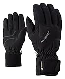 Ziener Erwachsene GUFFERT GTX Glove Alpine Ski-Handschuhe/Wintersport | Wasserdicht, Atmungsaktiv, Black, 10