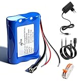 UBETTER DC 12V 3000mAh Lithium-Ionen Akku wiederaufladbarer 12.6V Akku mit ladegerät für Solar Panel, Camcorder, CCTV-Kameras, Elektronische Orgel, Sonar, Signalwerkzeug, LED-Streifenlichter