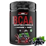 BCAA Performance - 450 g Pulver - Instant BCAAs + L-Glutamin + Taurin - Lecker & super Löslichkeit - Vegane Aminosäuren - 2:1:1 Ratio - (Schwarze Johannisbeere)…