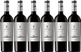 Bodegas Tamaral Tamaral Roble Ribera del Duero DO 2024 Trocken (6 x 0.75 l)