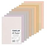 Canson Halbgefärbtes Papier (Wabenmuster), 10 Blatt A4, 160g/m², Pastellfarben C31032S052