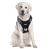 Funfox Hundegeschirr Mittelgroße Hunde [L] - Verstellbares Anti-Zug Brustgeschirr mit Griff & Reflektorstreifen, Atmungsaktives No Pull Hundegeschirr für Grosse/Kleine Hunde Outdoor Schwarz
